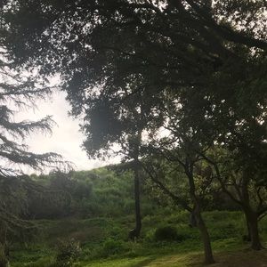 Meet your Posher, Zenaida